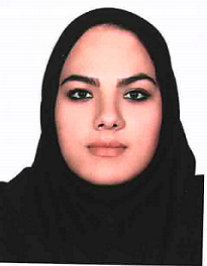 متین حسن زاده مقدم