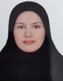 صفیه سادات محسنی موسوی