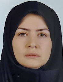 فهمیه محمدی