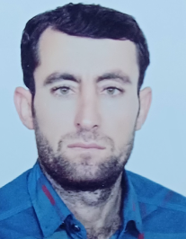 علی قهرمان زاده حمید