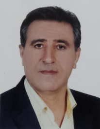 سید عزیز چابکی