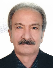 منوچهر مجیدزاده اردبیلی