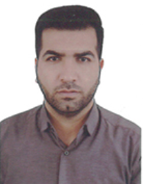 محمد حسن پور