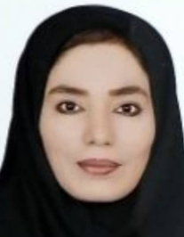 نسرین ابراهیمی