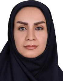 مریم مردانی ولندانی