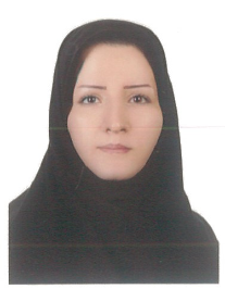 اکرم برزگر بریس