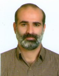 محسن رجبی اردشیری