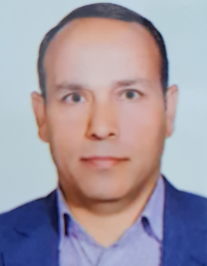 رضا تاجیک خاوه