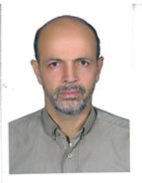 محمود میرزایی