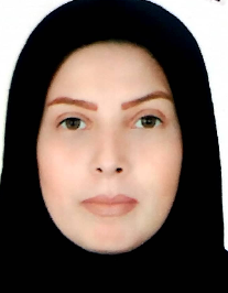 مینا انصاری