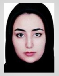 مینا بازماندگان لری