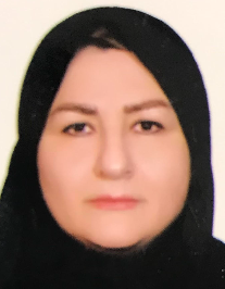 زینب نجفی