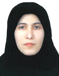 سیده کبری داودی دوپلانی