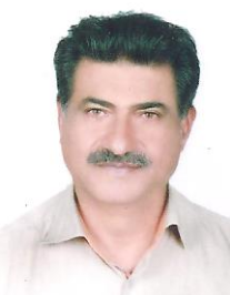 حسن پرویزی