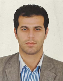 هادی تنها