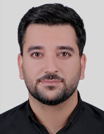 حسن کاملی بازه