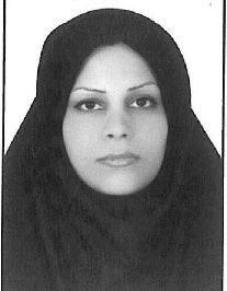 شکوه الملوک سعیدی