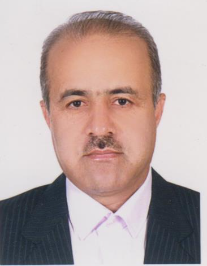 مجتبی رفیعی
