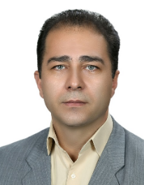 رضا حسنی