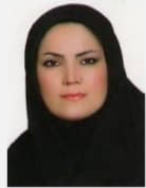 بیان سعیدی