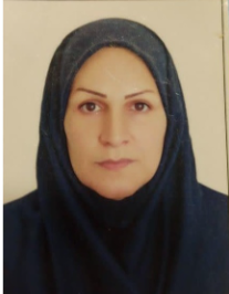 رویا طیبی
