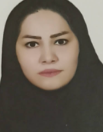 میترا هوشمندی