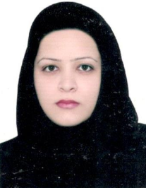 ساحل برزی