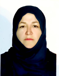 میترا هاشم زاده چکان