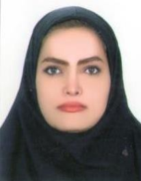 مریم انصاری