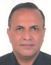 محمدرضا مهدی قلی