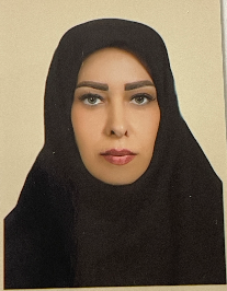 محبوبه سیدمومن