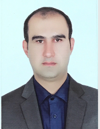 علی سلیمانی پارسا