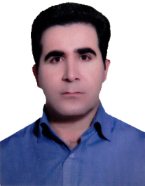 امیر محمدی