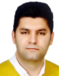 محسن احمدی