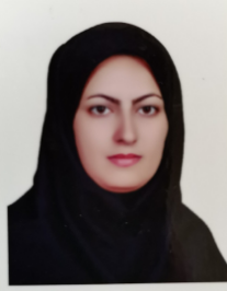 نسرین سادات میرقادری