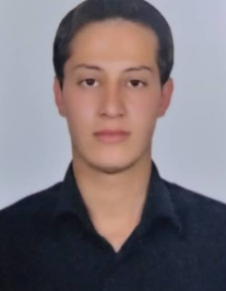 محمدعلی محمدی