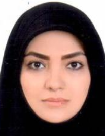 سولماز زمینی