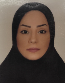 متین یوسفی مریدانی