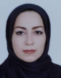 طیبه سادات محمدی حسن آبادی