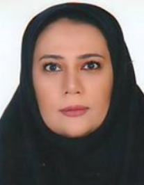 سیده منیر محمدی زاویه