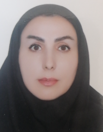 حمیده ضیایی مقدم