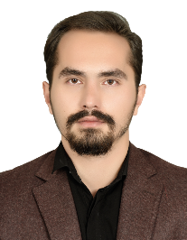 محمد مهدی مروی