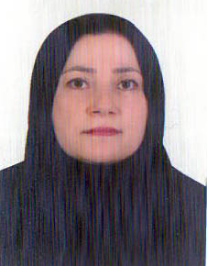 تهمینه زندی پیربازاری