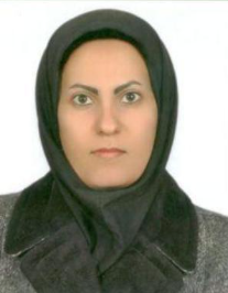 سیده اشرف السادات حسینی