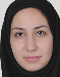 مینا نیروکار
