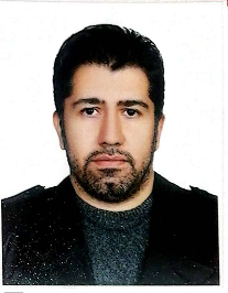 امیر تیموری