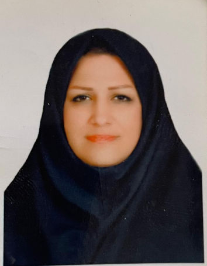 نرگس خاتون طوس