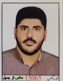 رضا حسین زاده