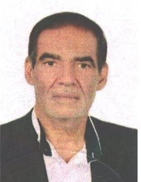 حسن امینی