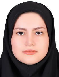 نگین اردویی ناوان